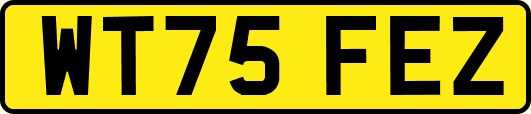 WT75FEZ