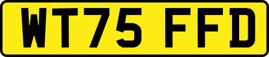 WT75FFD