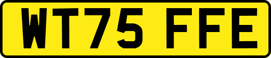 WT75FFE