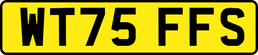 WT75FFS