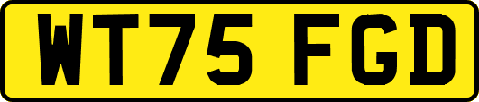 WT75FGD