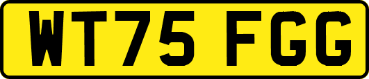 WT75FGG