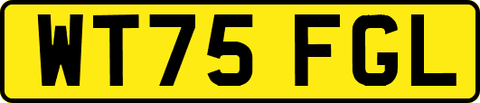 WT75FGL