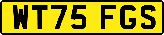 WT75FGS
