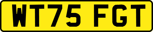 WT75FGT
