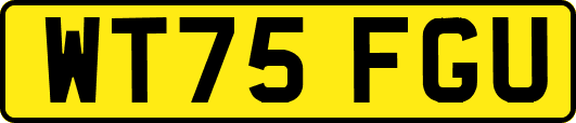 WT75FGU