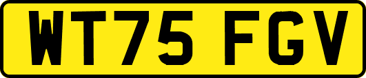 WT75FGV