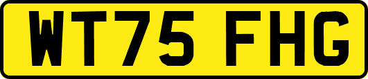 WT75FHG