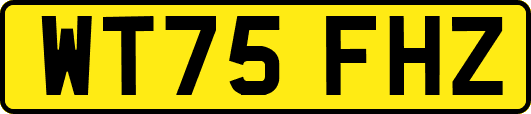 WT75FHZ