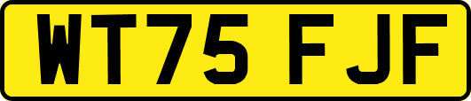 WT75FJF