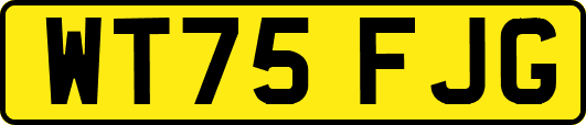WT75FJG