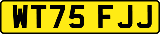 WT75FJJ