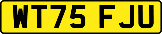 WT75FJU