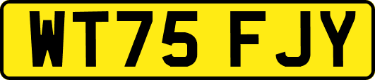 WT75FJY