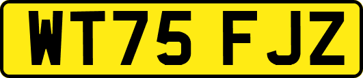 WT75FJZ