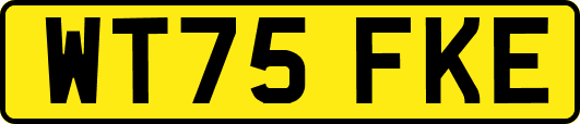WT75FKE