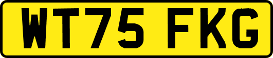 WT75FKG