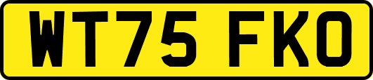 WT75FKO