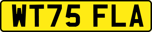 WT75FLA