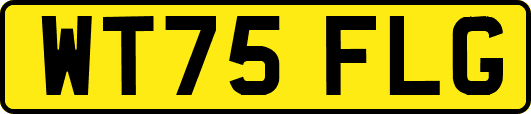 WT75FLG