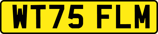 WT75FLM