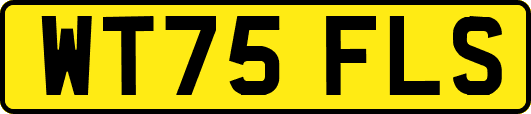 WT75FLS