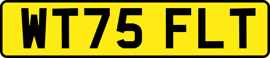 WT75FLT
