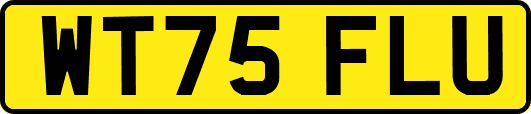 WT75FLU