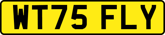 WT75FLY