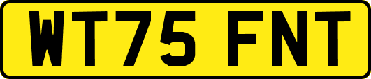 WT75FNT