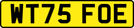 WT75FOE