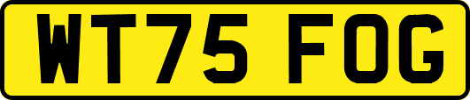 WT75FOG