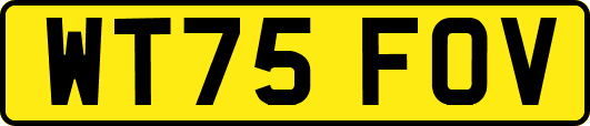 WT75FOV