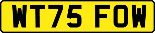 WT75FOW