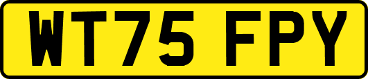 WT75FPY