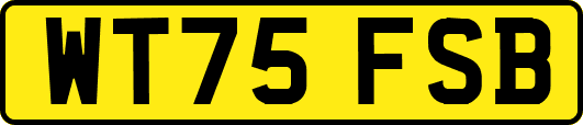 WT75FSB
