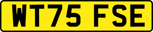 WT75FSE