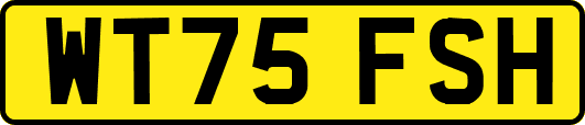 WT75FSH