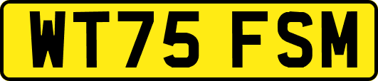 WT75FSM