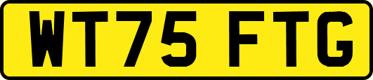 WT75FTG