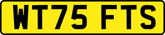 WT75FTS