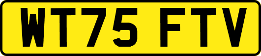 WT75FTV