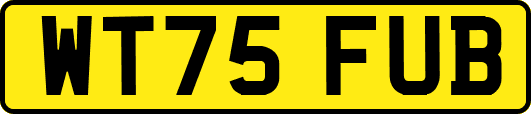 WT75FUB