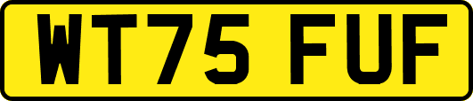 WT75FUF