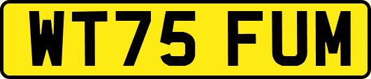 WT75FUM