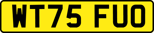 WT75FUO
