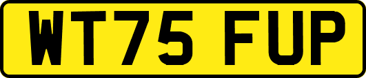 WT75FUP