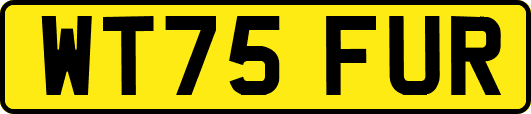 WT75FUR