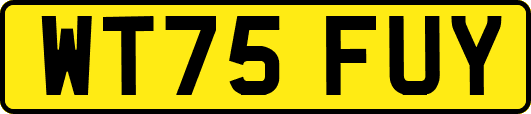 WT75FUY