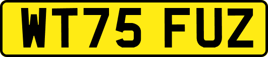 WT75FUZ